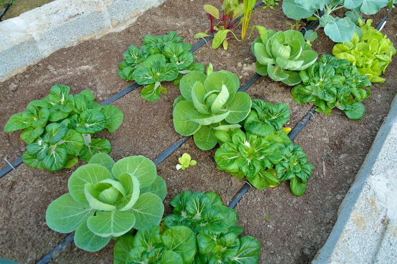 Drainage System Type